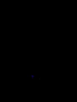 Snapshot of RIP_Curl chatting on 17, 10, 2025 RIP Curl online show from 17, 10, 2025