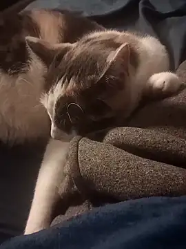 AmazonianMistress online show from 10, 2, 2025