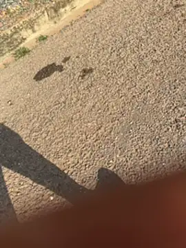 Black-mamba-madingo online show from 30, 9, 2025