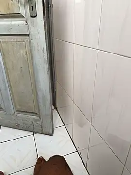 Black-mamba-madingo online show from 15, 1, 2026