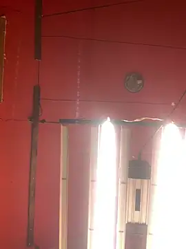 Bigtoyaddict online show from 11, 2, 2026