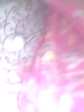 Priya Bong online show from 4, 2, 2026