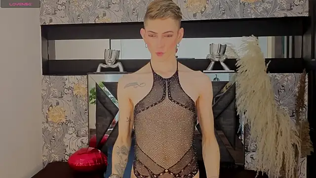 dominic thailor online show from 13, 2, 2026