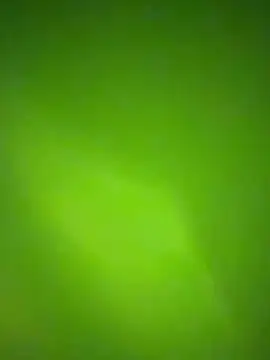 Snapshot of nene_fun chatting on 31, 1, 2026 nene fun online show from 31, 1, 2026