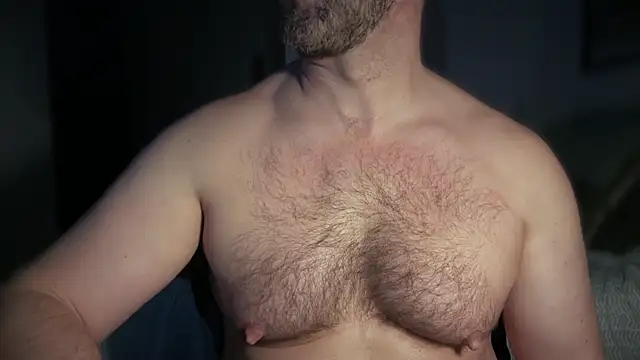 Mr Beef online show from 14, 12, 2025