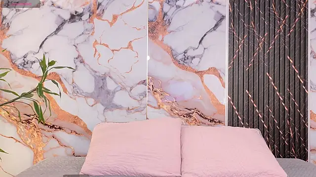 Shasa 8 online show from 5, 2, 2026