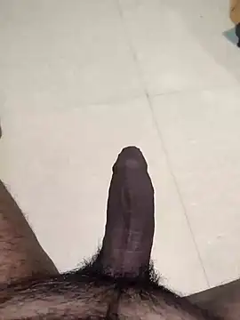 saiTeluguhyd online show from 25, 1, 2025