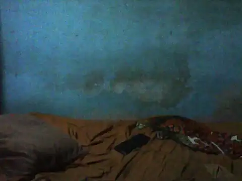 little  joy online show from 29, 11, 2025