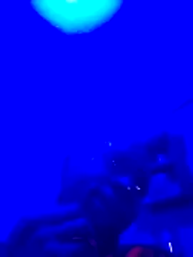 Brian johns online show from 23, 3, 2026