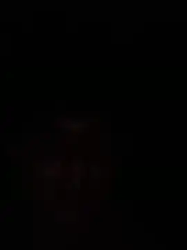 bob petterson online show from 23, 12, 2025