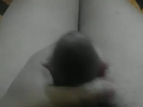 wixssam online show from 3, 1, 2025