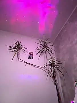 Snapshot of derek1494 chatting on 5, 1, 2026 derek1494 online show from 5, 1, 2026