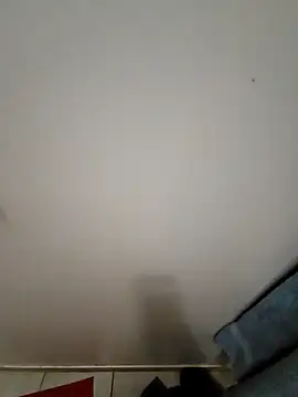 Reinacatchile online show from 17, 12, 2024