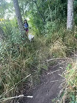 Reinacatchile online show from 31, 1, 2025