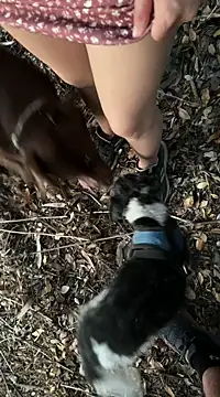 Reinacatchile online show from 6, 2, 2025