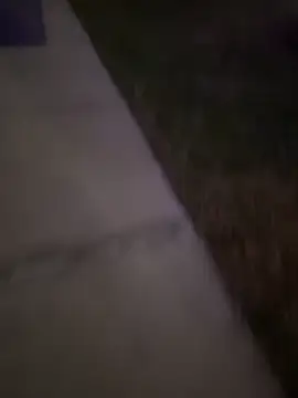 MynameisPaco online show from 20, 12, 2025