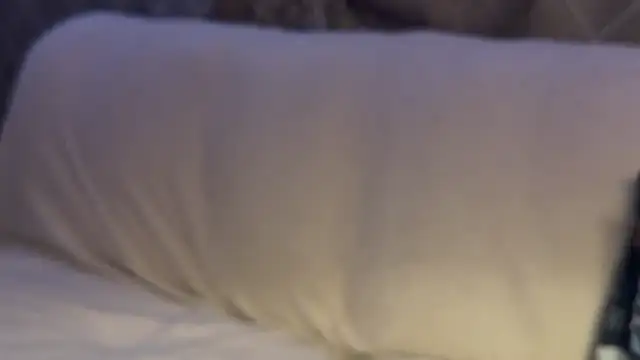 max o max42 online show from 1, 3, 2025