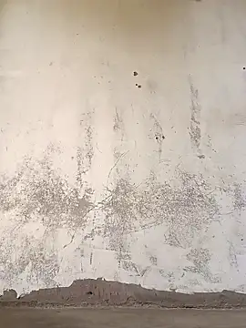 Snapshot of Yasha_14C_Creator chatting on 8, 11, 2025 Yasha 14C Creator online show from 8, 11, 2025