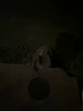 nowex18 online show from 14, 3, 2025