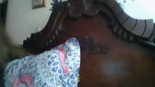 trianabell online show from 12, 1, 2026