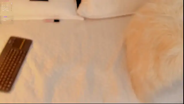 Snapshot of FabianPriince chatting on 14, 1, 2025 FabianPriince online show from 14, 1, 2025