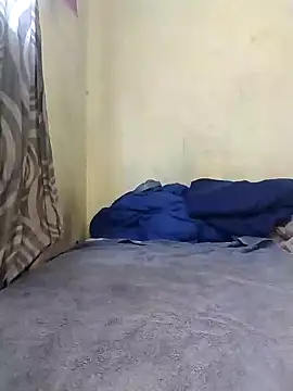 Stallion100 online show from 20, 12, 2024