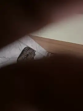 ravirishi1122 online show from 19, 6, 2026