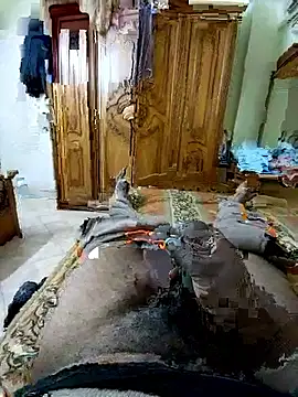 ListedLoin online show from 14, 3, 2026