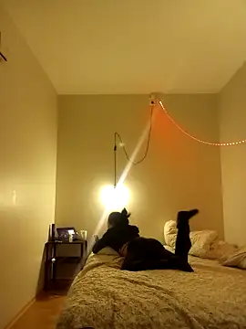 blackhotpartyts online show from 1, 4, 2026