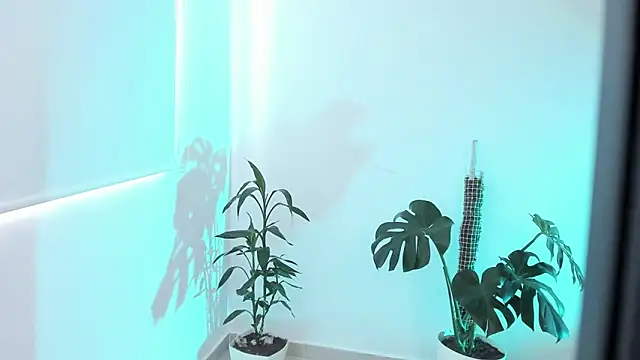 rossth1 online show from 20, 3, 2026