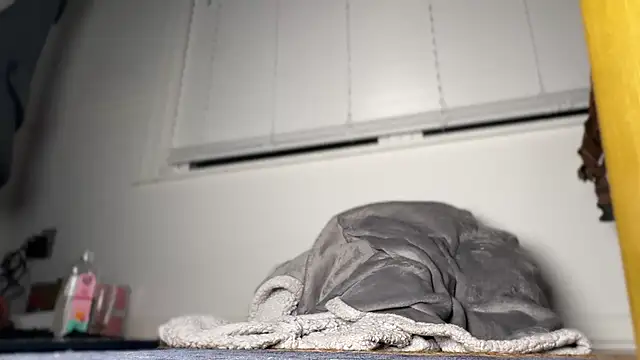 Theonlydreamybull online show from 20, 4, 2026