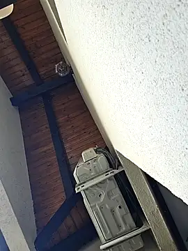 lovewildguy1 online show from 23, 3, 2025