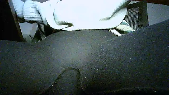 Bellabeltrann online show from 15, 3, 2025