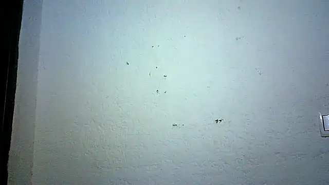 Bellabeltrann online show from 3, 10, 2025