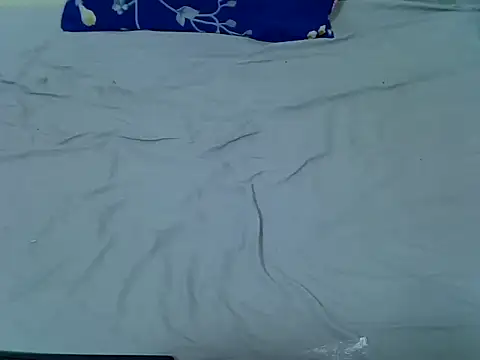 Snapshot of pointy_bloom chatting on 1, 4, 2026 pointy bloom online show from 1, 4, 2026