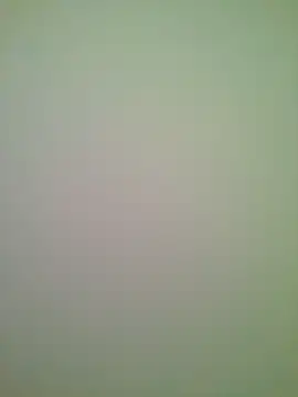Snapshot of Lovensetest chatting on 29, 6, 2026 Lovensetest online show from 29, 6, 2026