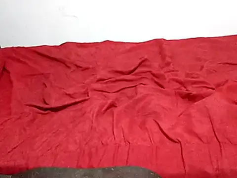 wel9238 online show from 1, 3, 2026