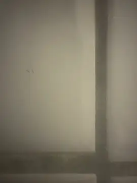 Snapshot of orient_zob chatting on 19, 2, 2026 orient zob online show from 19, 2, 2026