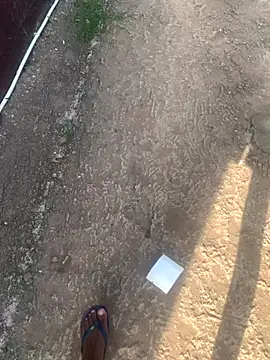 Snapshot of DManL chatting on 13, 11, 2025 DManL online show from 13, 11, 2025