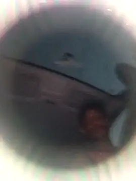 Snapshot of Ursonego chatting on 3, 10, 2025 Ursonego online show from 3, 10, 2025