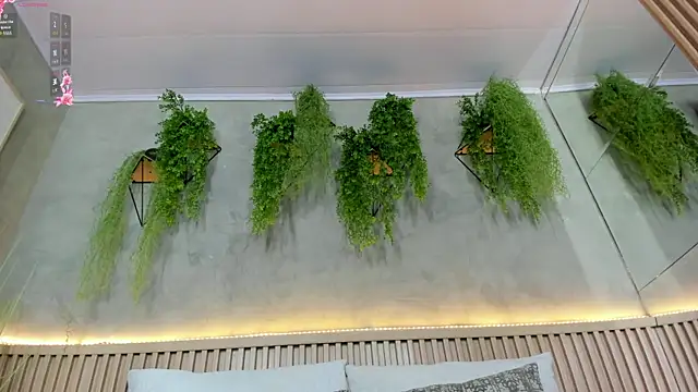 Lana Lann online show from 5, 2, 2025