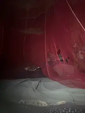 Snapshot of amy_gata chatting on 17, 2, 2026 amy gata online show from 17, 2, 2026