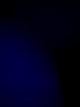 McdyllanXX online show from 17, 1, 2025