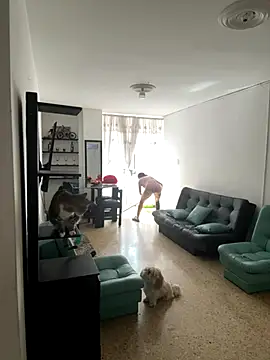 msschloee  online show from 15, 11, 2025