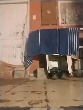 Snapshot of brownfeet chatting on 18, 1, 2025 brownfeet online show from 18, 1, 2025