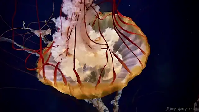 Snapshot of streamy_test12 chatting on 24, 2, 2026 streamy test12 online show from 24, 2, 2026