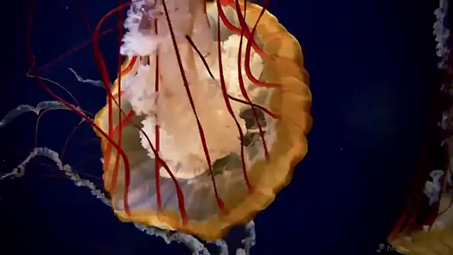 Snapshot of streamy_test13 chatting on 2, 10, 2025 streamy test13 online show from 2, 10, 2025