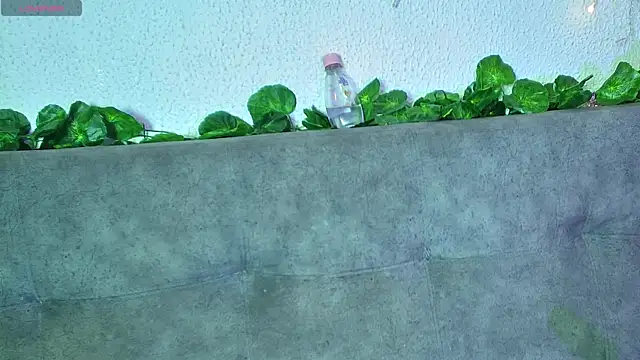 ari kat online show from 22, 12, 2024