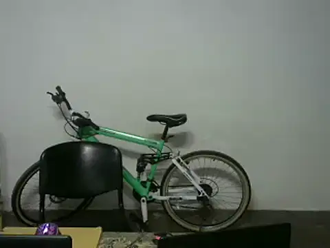 michel sc online show from 13, 1, 2026