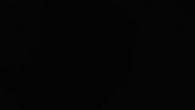 Liaroberts1 online show from 24, 1, 2025